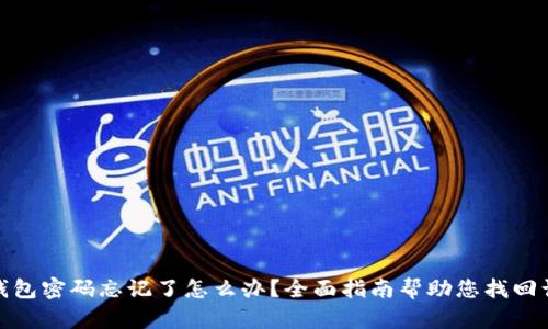 加密钱包密码忘记了怎么办?全面指南帮助您找回访问权