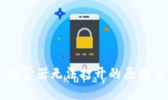 TPWallet浏览器无法打开的原因及解决方案