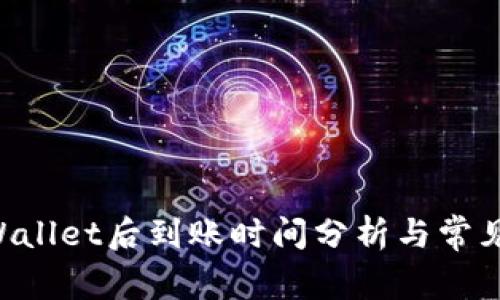 转入TP Wallet后到账时间分析与常见问题解答