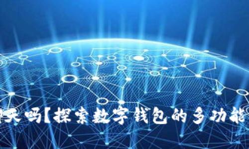 数字钱包能聊天吗?探索数字钱包的多功能性与应用场景