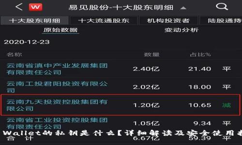 TP Wallet的私钥是什么?详细解读及安全使用指南