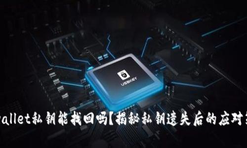 tpwallet私钥能找回吗?揭秘私钥遗失后的应对策略