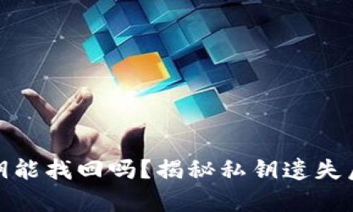 tpwallet私钥能找回吗?揭秘私钥遗失后的应对策略