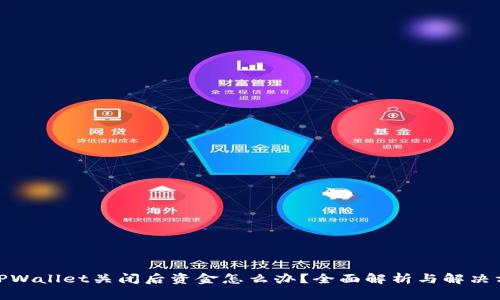 : TPWallet关闭后资金怎么办?全面解析与解决方案