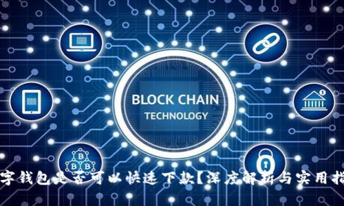 数字钱包是否可以快速下款?深度解析与实用指南