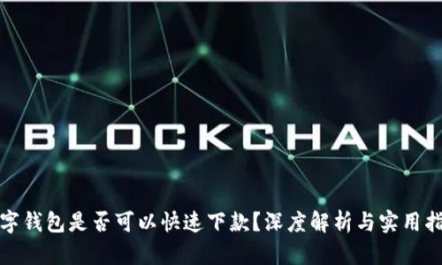 数字钱包是否可以快速下款?深度解析与实用指南