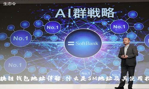 区块链钱包地址详解:什么是SM地址及其使用指南