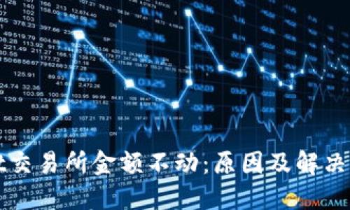 TPWallet交易所金额不动:原因及解决方法详解