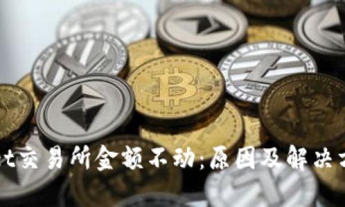 TPWallet交易所金额不动:原因及解决方法详解