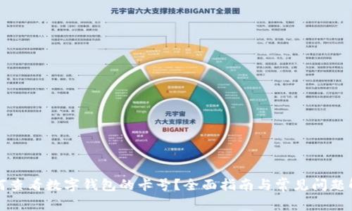 如何查看数字钱包的卡号?全面指南与常见问题解答