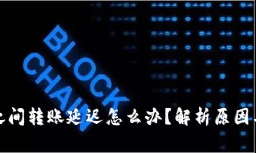 加密钱包之间转账延迟怎么办?解析原因与解决方案