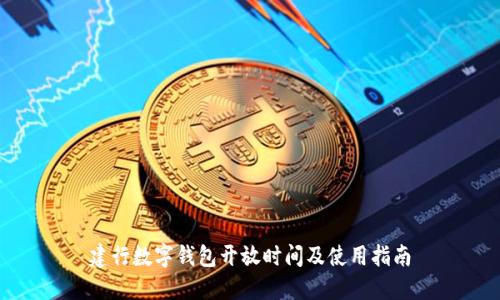 建行数字钱包开放时间及使用指南
