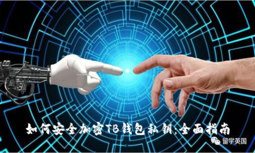 如何安全加密TB钱包私钥:全面指南