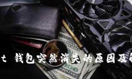 TPWallet 钱包突然消失的原因及解决方案