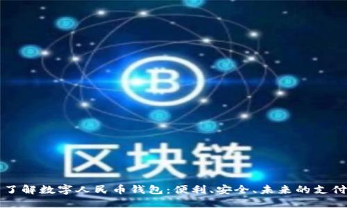 全面了解数字人民币钱包:便利、安全、未来的支付方式