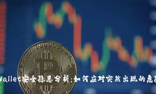 TPWallet安全隐患分析:如何应对突然出现的危险币