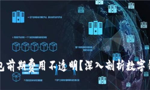 为什么数字钱包前期费用不透明?深入剖析数字钱包的收费结构