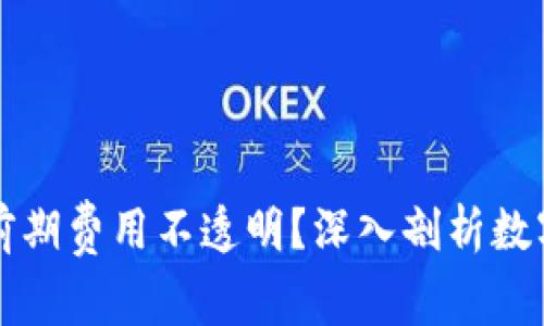 为什么数字钱包前期费用不透明?深入剖析数字钱包的收费结构