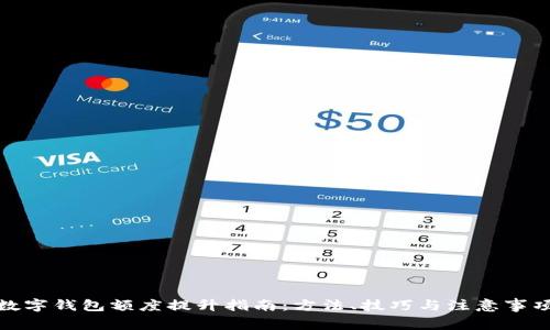 数字钱包额度提升指南:方法、技巧与注意事项