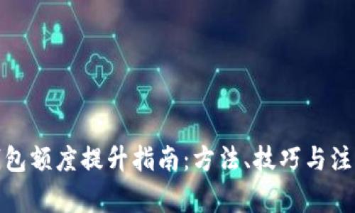 数字钱包额度提升指南:方法、技巧与注意事项