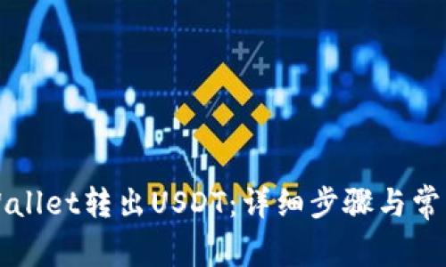 如何从TPWallet转出USDT:详细步骤与常见问题解答