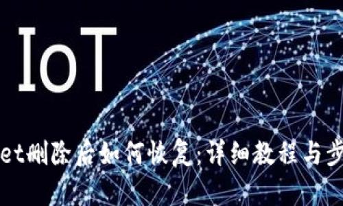 TPWallet删除后如何恢复:详细教程与步骤解析