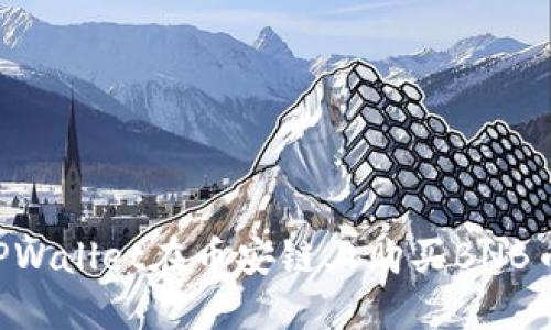 如何通过TPWallet在币安链上购买BNB币：详细指南