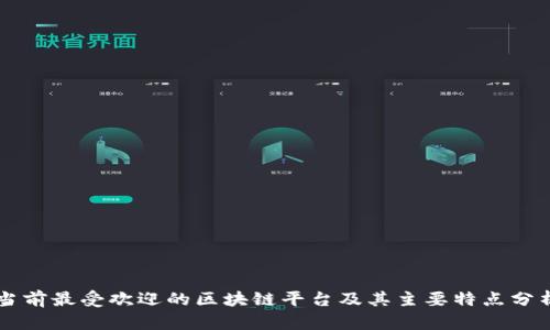 当前最受欢迎的区块链平台及其主要特点分析