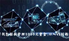 如何利用数字钱包轻松管理5000元资金：从入门到