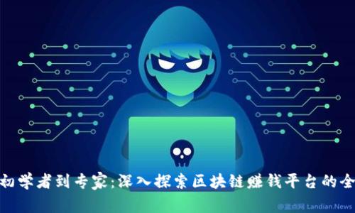 从初学者到专家：深入探索区块链赚钱平台的全貌