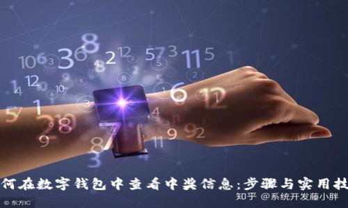 如何在数字钱包中查看中奖信息：步骤与实用技巧