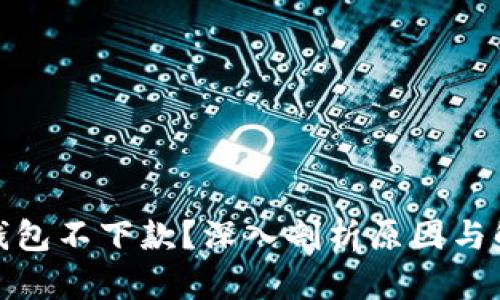 : 数字钱包不下款？深入剖析原因与解决方案