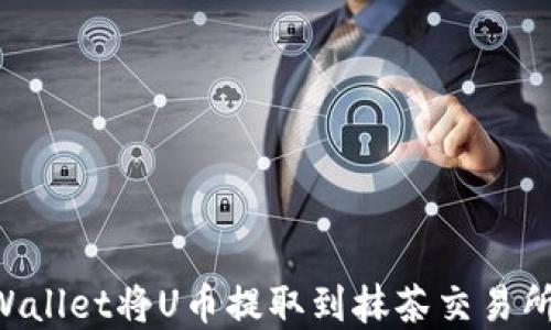 
如何通过TPWallet将U币提取到抹茶交易所：全流程详解