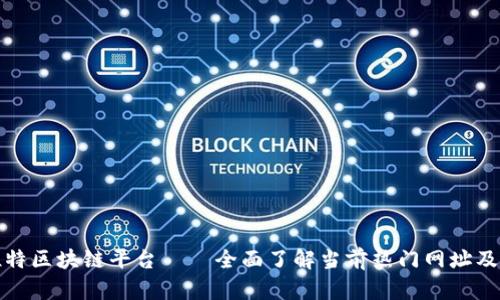 探索推特区块链平台——全面了解当前热门网址及其功能