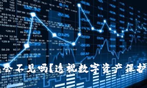 区块链钱包会不见吗？透视数字资产保护与安全策略