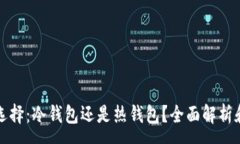 :TP钱包的选择：冷钱包还是热钱包？全面解析和