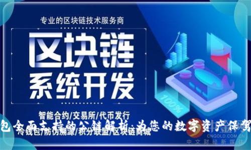 TP钱包全面支持的公链解析：为您的数字资产保驾护航