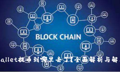 : TPWallet提币到哪里去了？全面解析与解决攻略