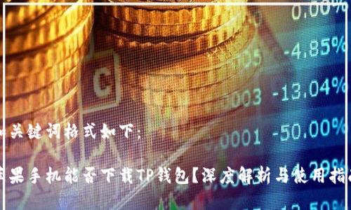 和关键词格式如下：

苹果手机能否下载TP钱包？深度解析与使用指南
