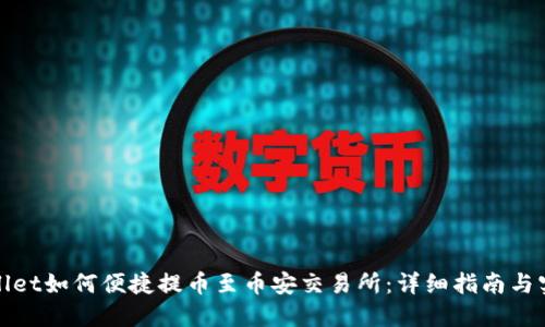 : TPWallet如何便捷提币至币安交易所：详细指南与实用技巧