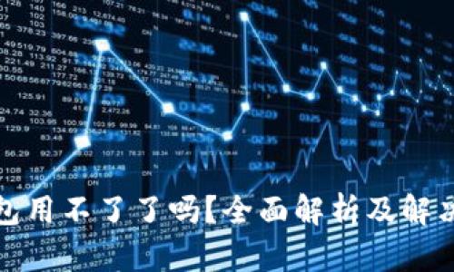 TP钱包用不了了吗？全面解析及解决方案