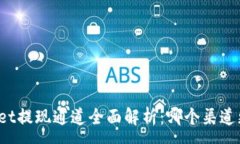 :TPWallet提现通道全面解析：哪个渠道更快速？