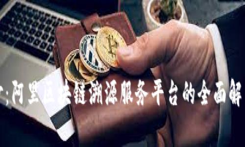 揭开神秘面纱：阿里区块链溯源服务平台的全面解析与应用前景